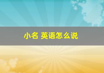 小名 英语怎么说